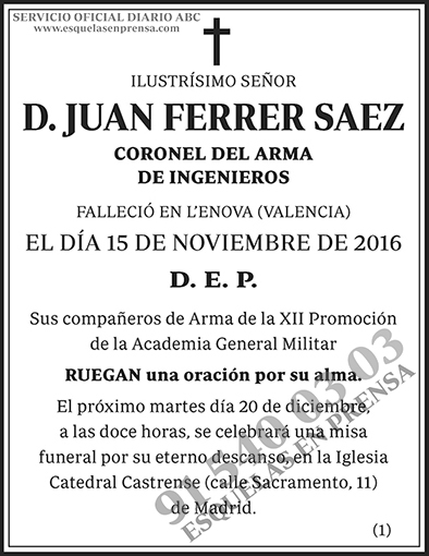 Juan Ferrer Saez